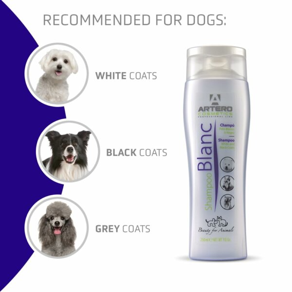 Artero Blanc Shampoo rozjasňující šampón - Image 3