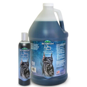 Bio-Groom ULTRA BLACK SHAMPOO