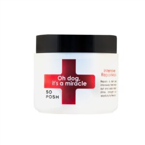 So posh Oh Dog , It's a Miracle Mask