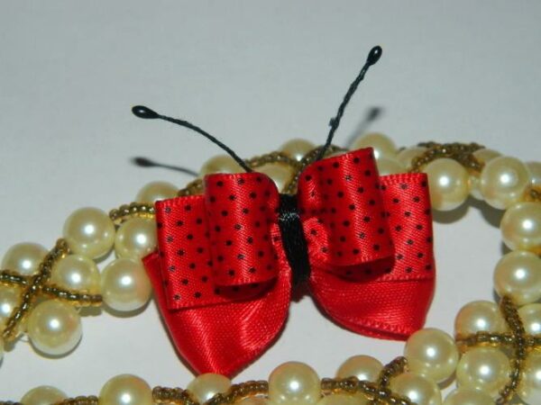 Mašličky Coccinella