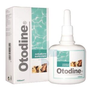 Otodine ICF uši