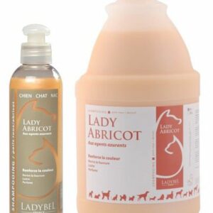 LadyBel Abricot shampoing šampon pro meruňkovou apricot srst