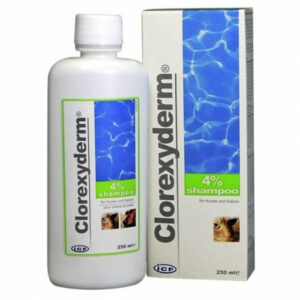 Clorexyderm šampon 4pr ICF