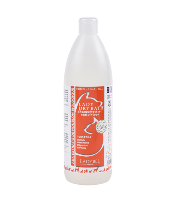 LadyBel Dry bath shampoing bezoplachový šampón