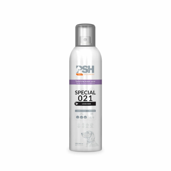 PSH Special Hair Spray 021 tvarovací lak