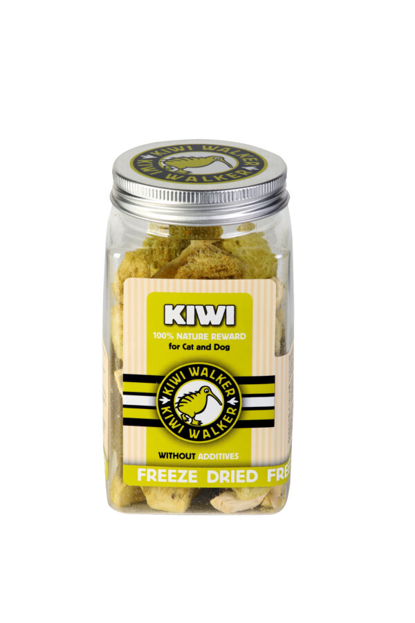 KIWI Pochoutka mrazem sušená kiwi
