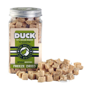 KIWI Pochoutka mrazem sušená kachna