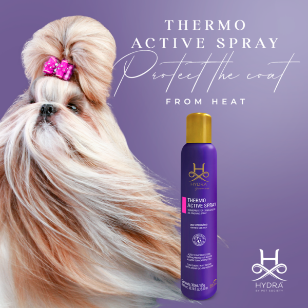 Hydra Thermo Active Spray finální úprava