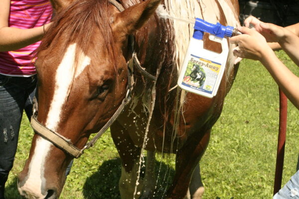 MANE ´N TAIL Spray Away rychlé čištění s koncovkou na hadici - Image 2