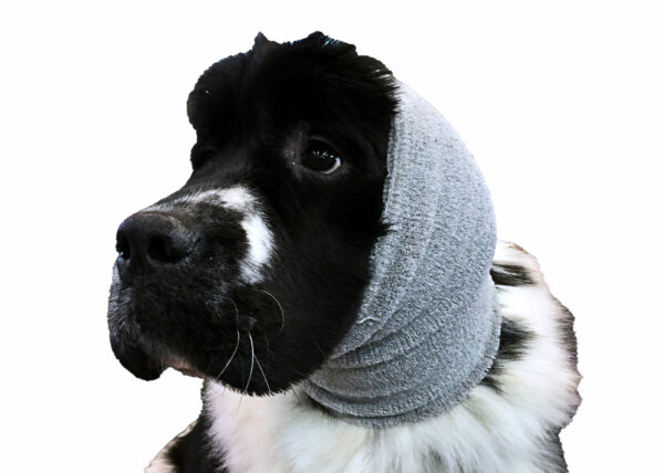 Show Tech Ear Buddy sada bandáže a návleky na uši