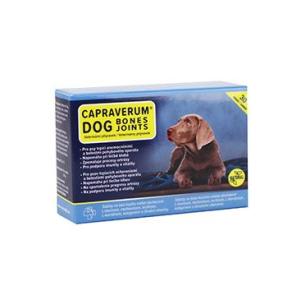 CAPRAVERUM DOG bones-joints pro pohybový aparát