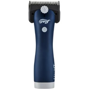 Wahl