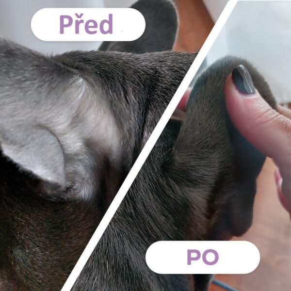 VetExpert Stimuderm Ultra Serum Dog - Image 2