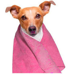 Dog Generation magický ručník Pet Towel 66x43cm