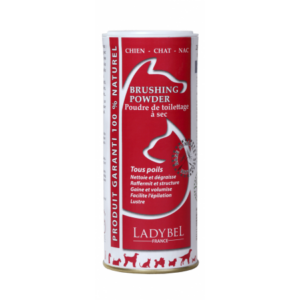 LadyBel Brushing powder suchý šampón